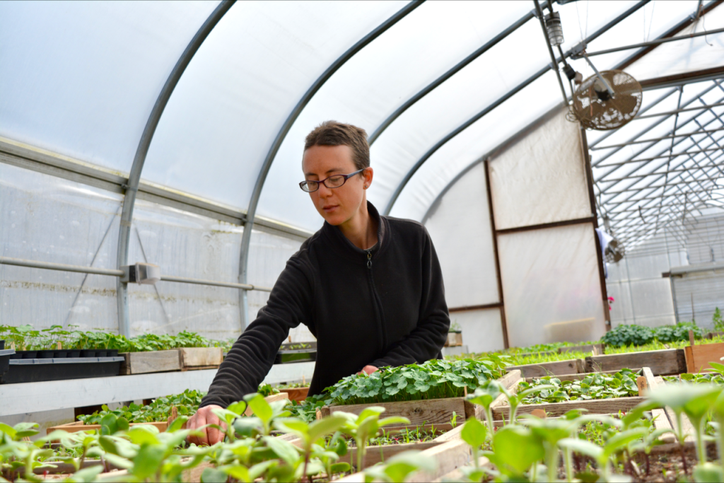 Rachel working with seedlings in greehouse