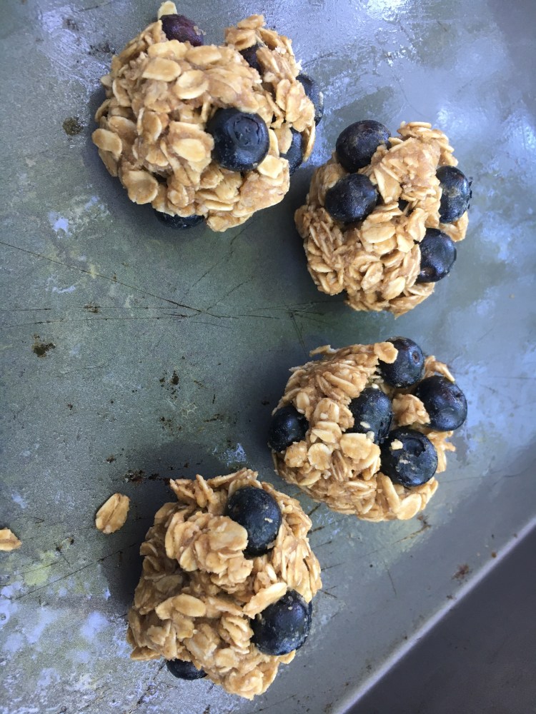 Homemade blueberry oat cookies