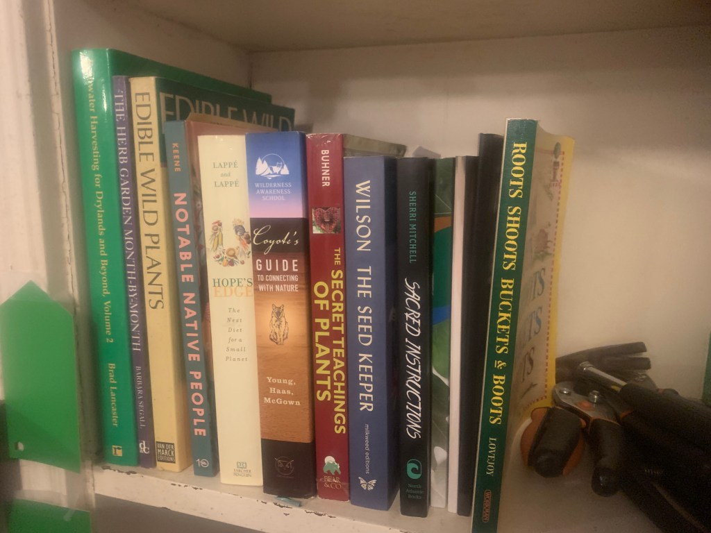 A shelf lined with the small but mighty Magnolia book collection