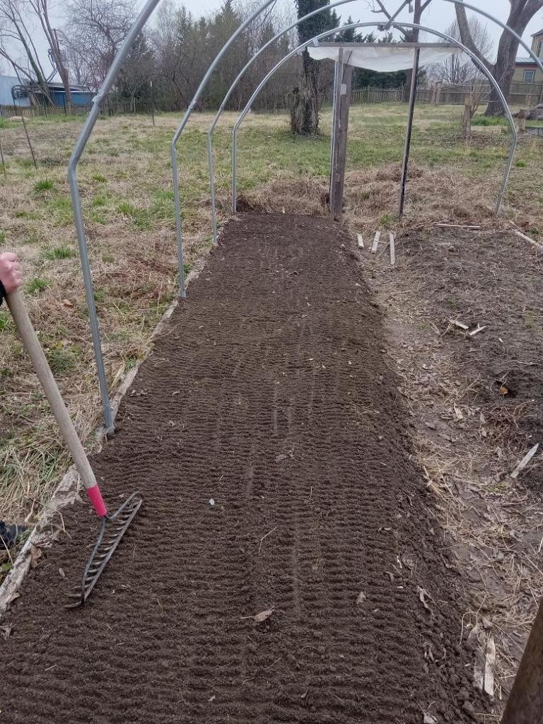 Freshly prepared and planted crimson clover beds in the greenhouse